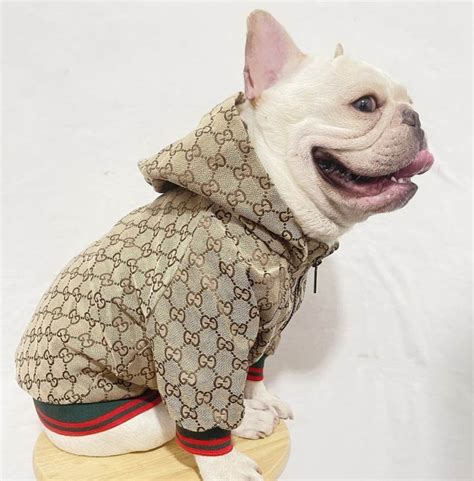 gucci coat for dogs|designer dog coats gucci.